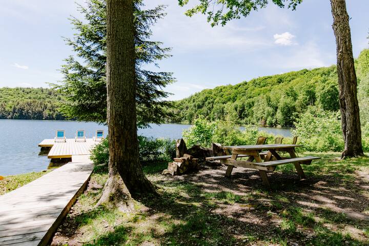 Limberlost Forest and Wildlife Reserve managed Airbnb listing 1