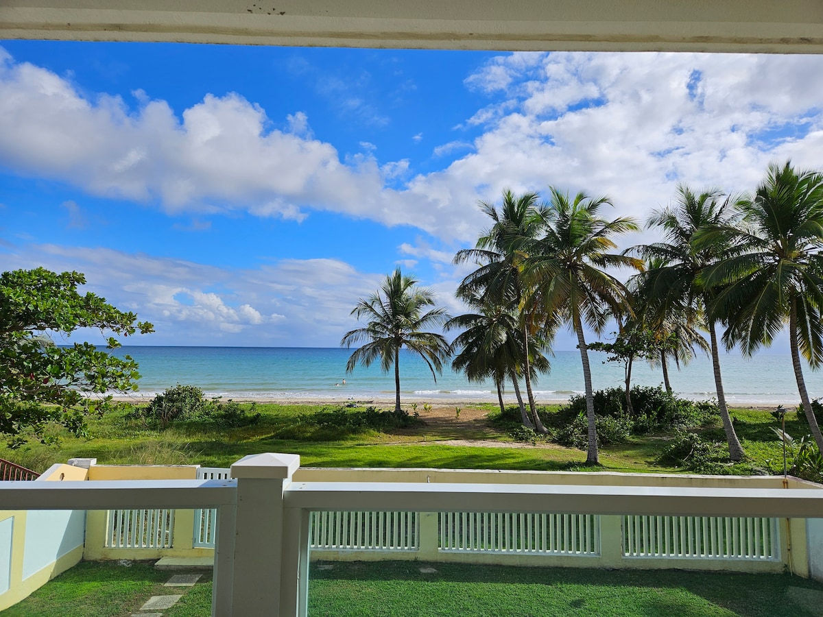 A wraparound balcony view showcases the Caribbean Sea, with calm blue waters meeting a sandy beach. Lush green palm trees are visible in the foreground, while a clear blue sky with scattered clouds frames the scene.