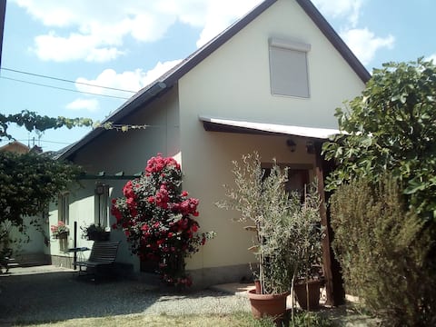 House in the heart of the village
