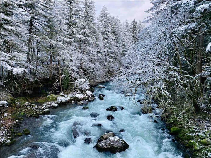 Riverside Cottage on the East Fork Lewis River Cottages for Rent in Battle Ground, Washington