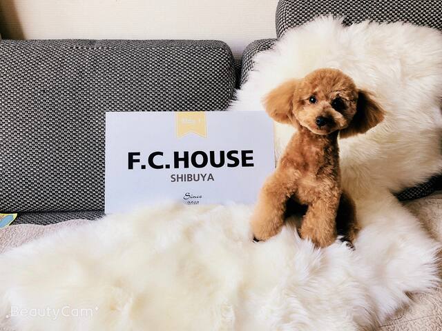 100m2 house/3BR/quiet str./near shinjyuku sta. gallery image 2