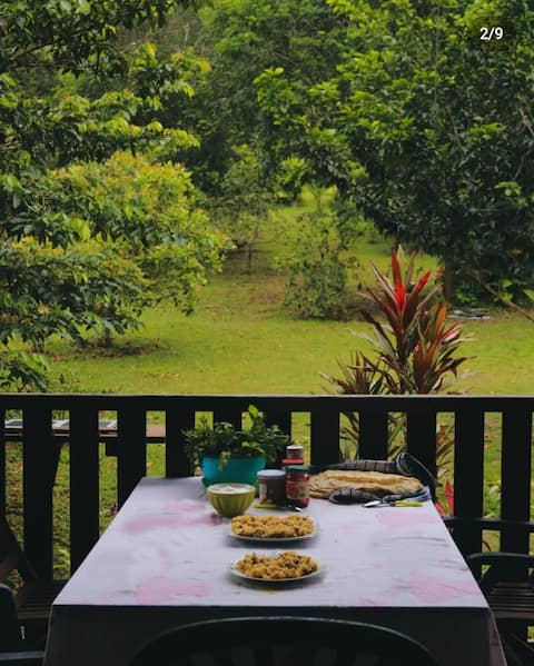 Pretty wooden cabin in a large wooded garden