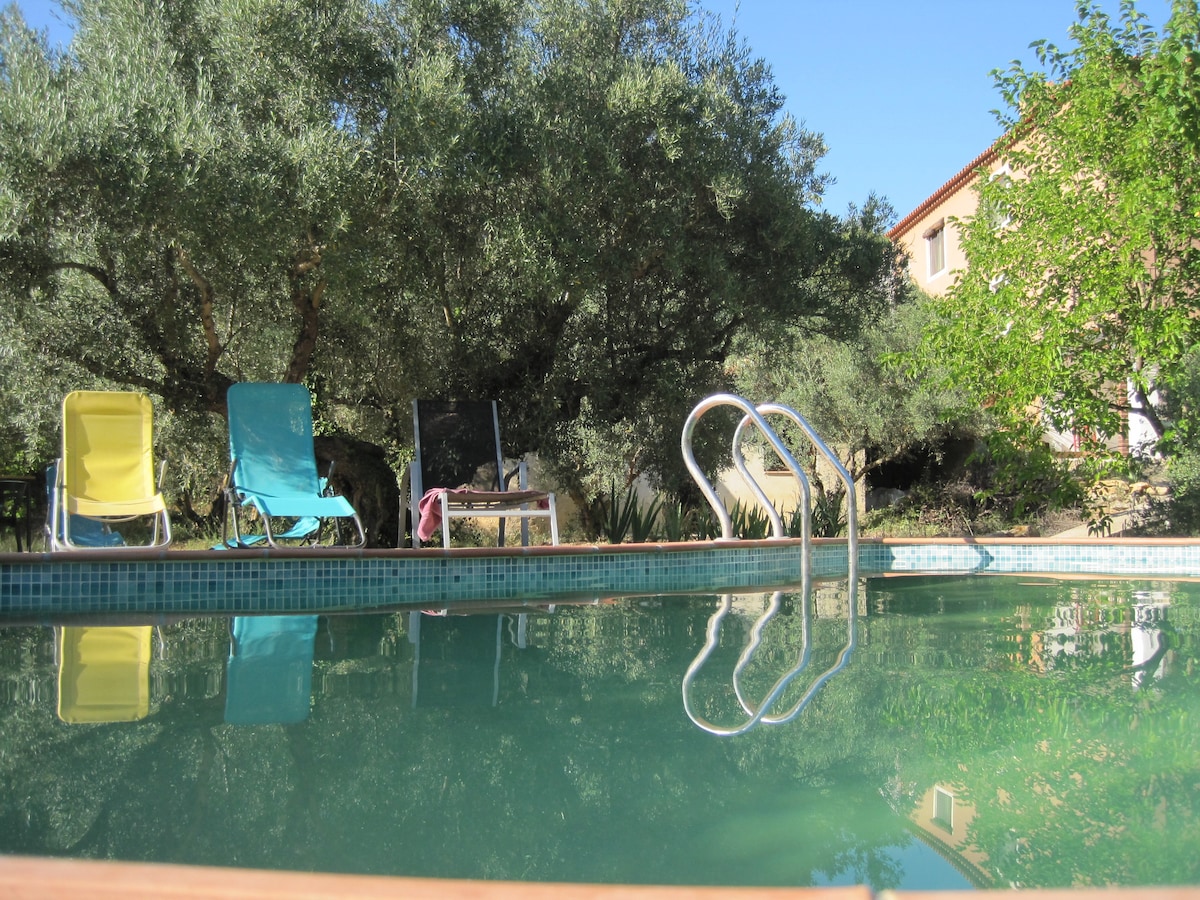 The tranquil pool reflects greenery from surrounding olive trees. Several colorful lounge chairs are positioned nearby, inviting relaxation under the clear blue sky. A subtle staircase leads from the water's edge, offering access to the refreshing swim.