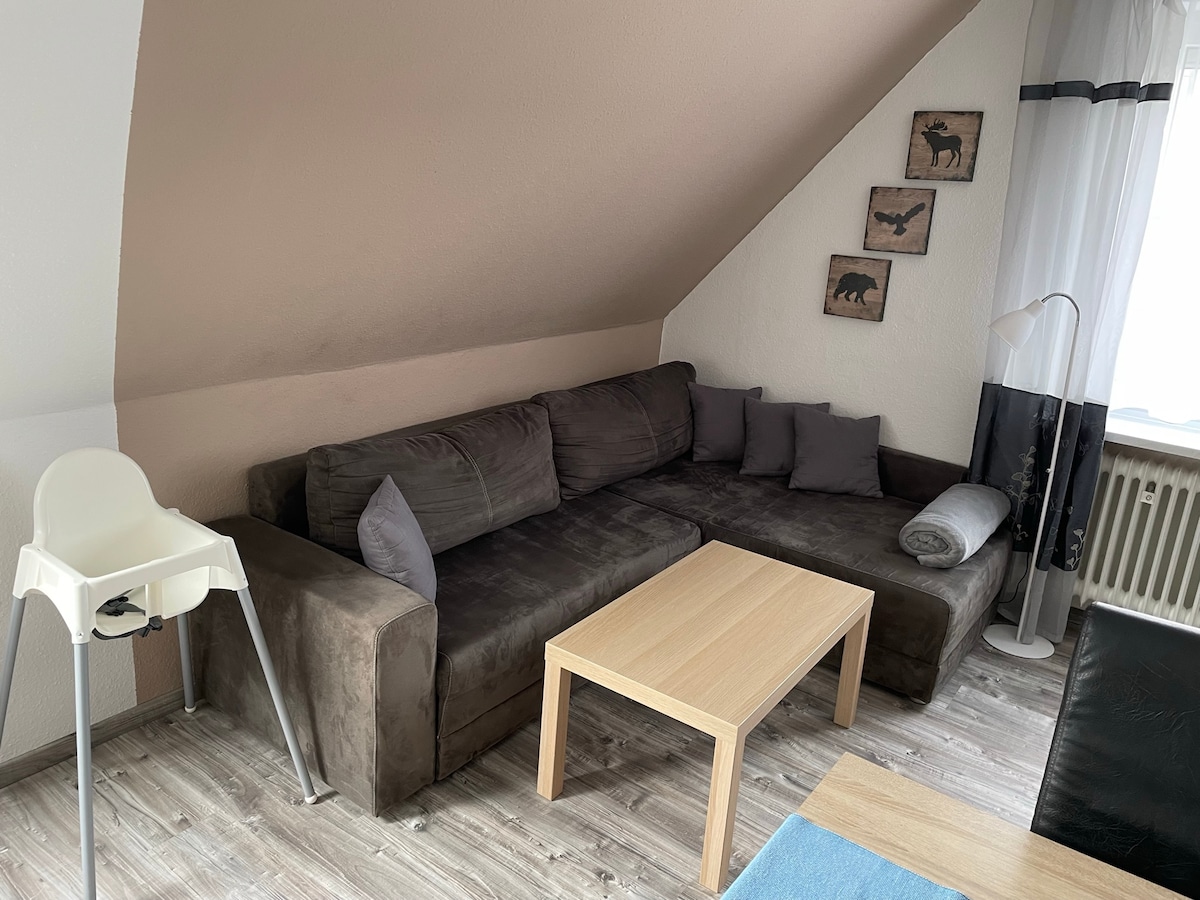 Top Airbnb: Vacation home with Lilly and Olaf in the Harz Mountains - Wi-Fi in Goslar