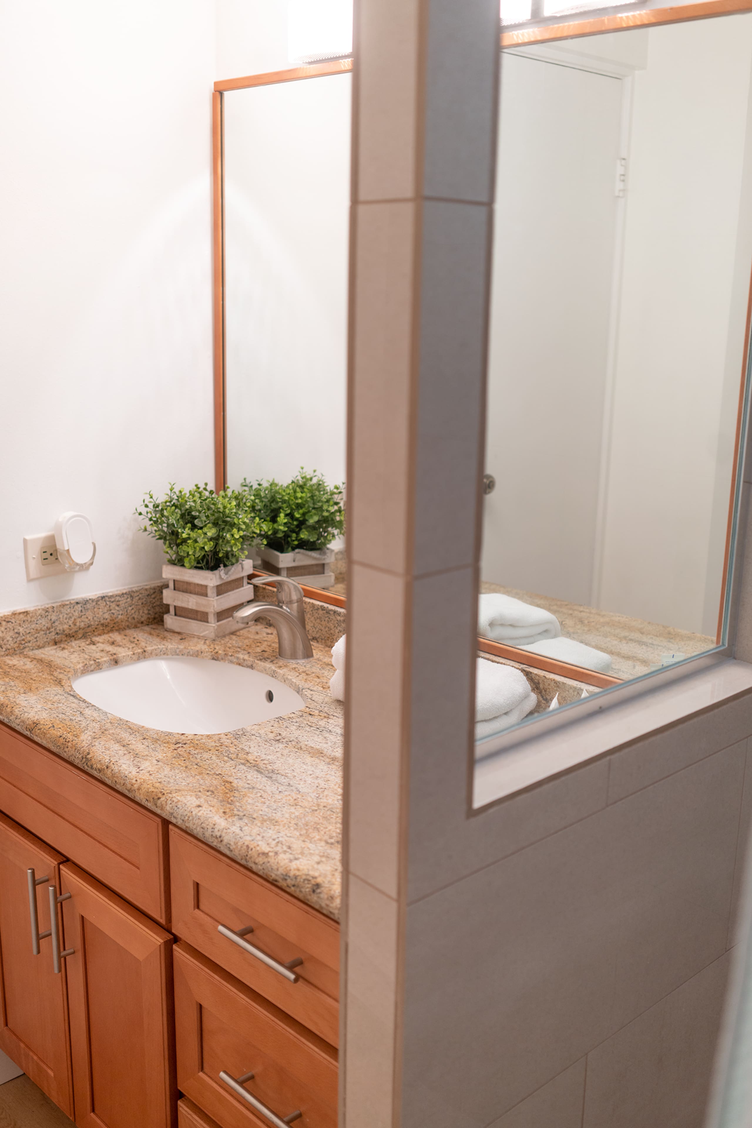 Condo in Honolulu · ★4.69 · 1 bedroom · 2 beds · 1 shared bath - Image 4