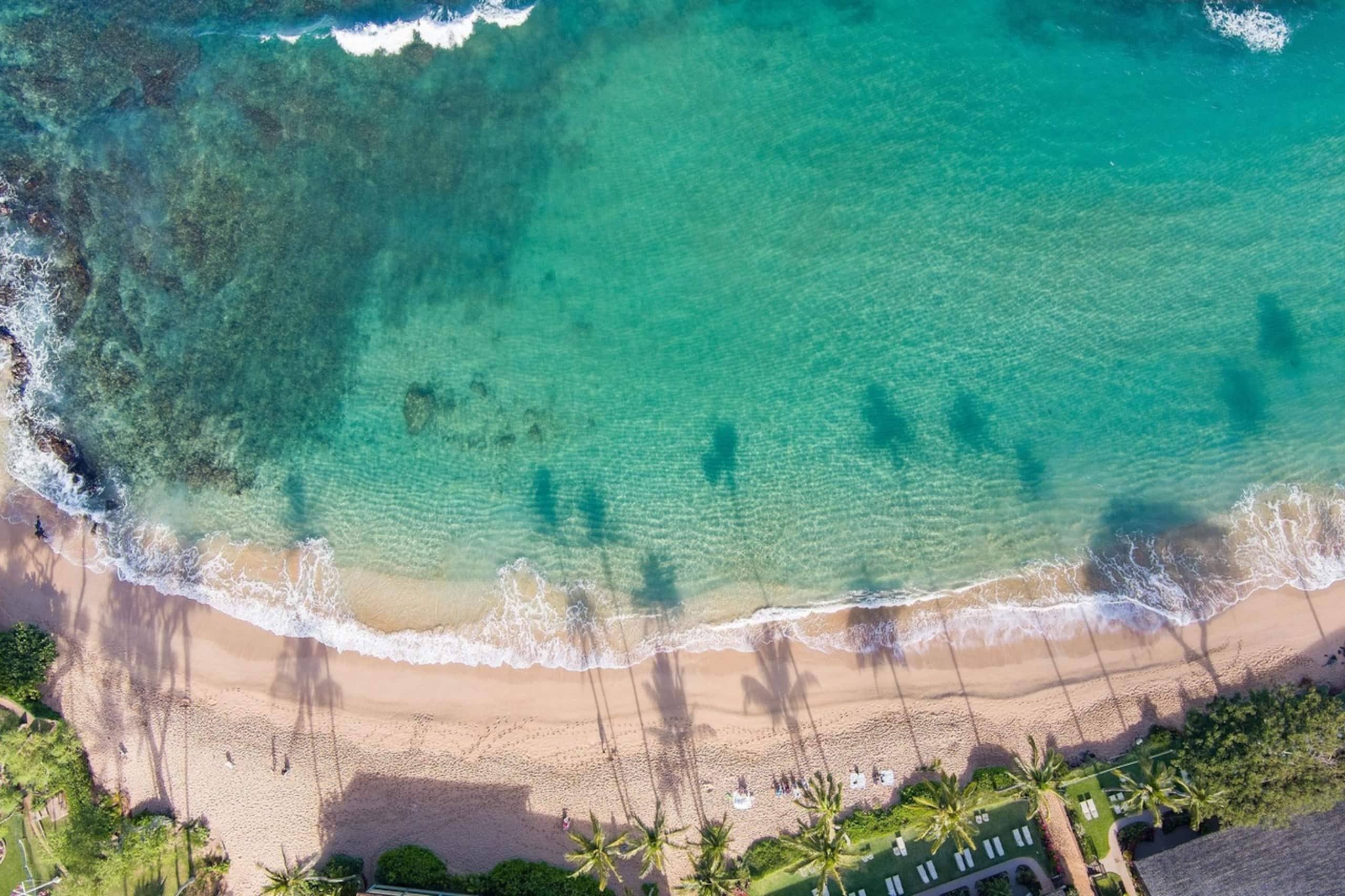 Condo in Lahaina · ★4.96 · Studio · 4 beds · 1 private bath - Image 14