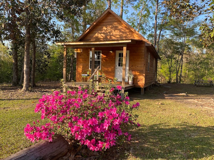 Mississippi Cabins House and Cabin Rentals Airbnb