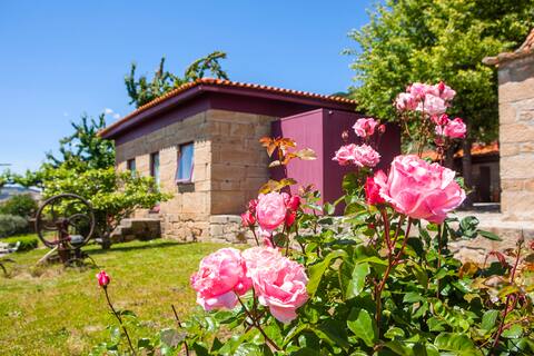 Cobrançosa House, Douro Valley