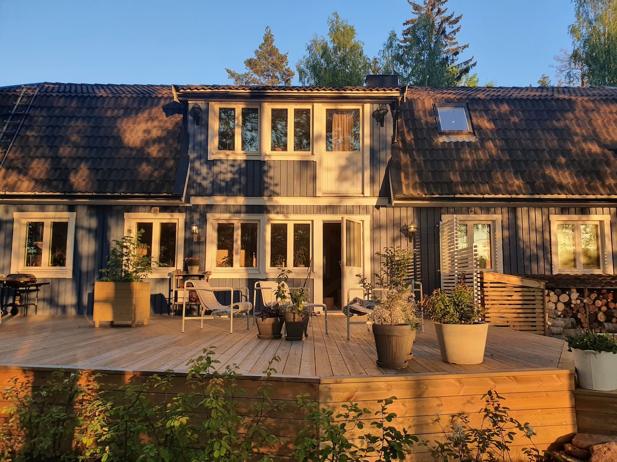 The exterior of the house is shown, highlighting the blue facade and tiled roof. A spacious wooden deck is visible, adorned with potted plants and outdoor seating. Large windows allow natural light to fill the interior, while stacks of wood are neatly arranged nearby.