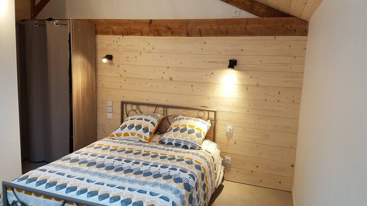 Lit 140 et dressing. Velux. Chambre avec douche