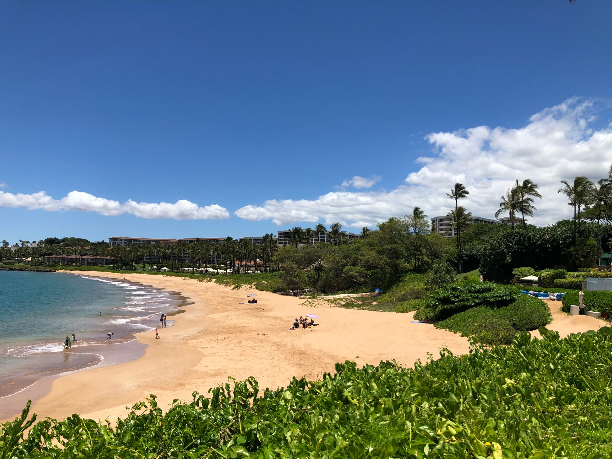 Condo in Kihei · ★4.95 · 1 bedroom · 1 bed · 1 private bath - Image 5