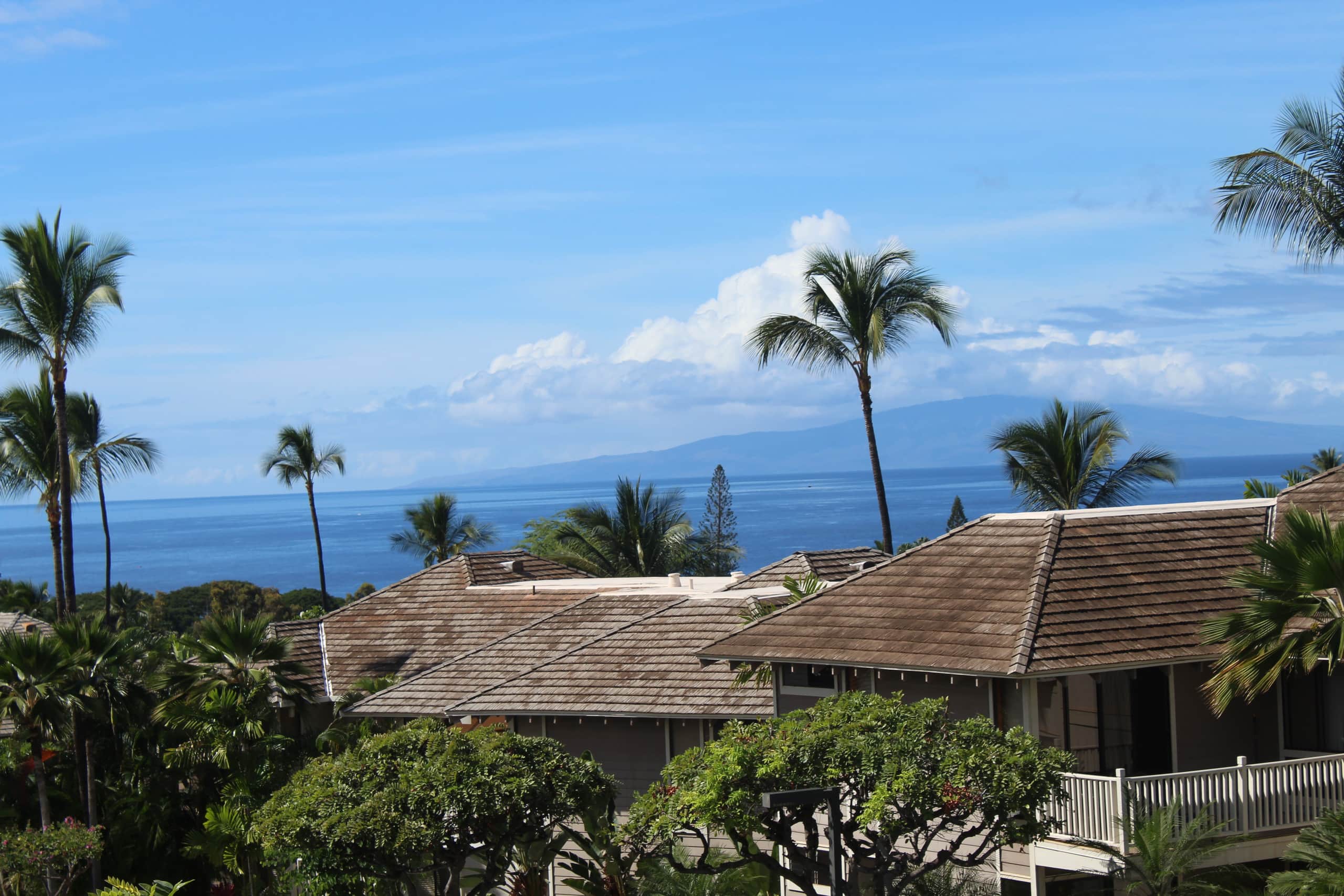 Condo in Kihei · ★4.95 · 1 bedroom · 1 bed · 1 private bath - Image 4