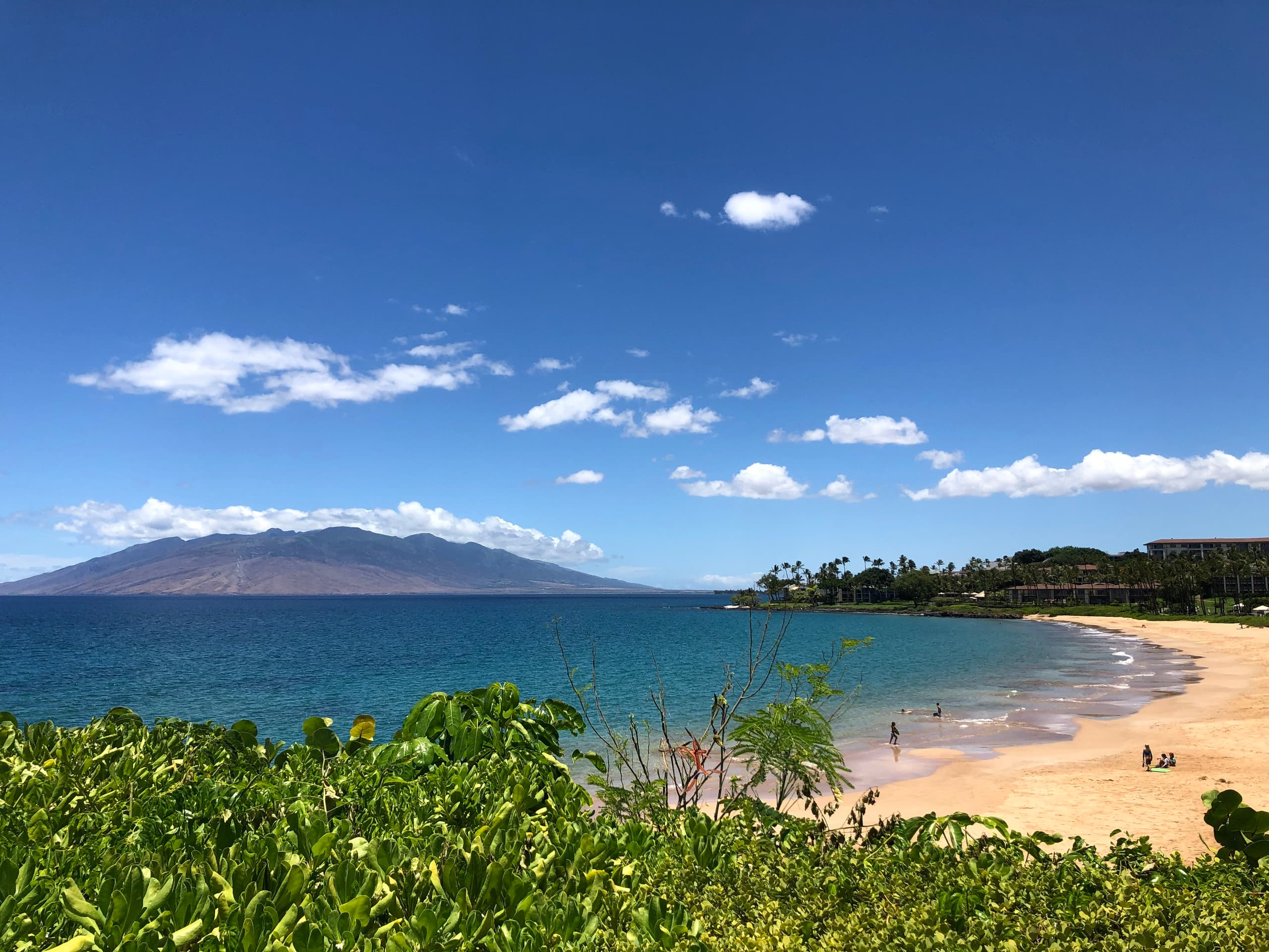 Wailea Ocean View Studio - Image 11