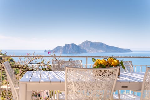Top performing Airbnb: Domus Capri with private pool 15063044ext0609 in Massa Lubrense