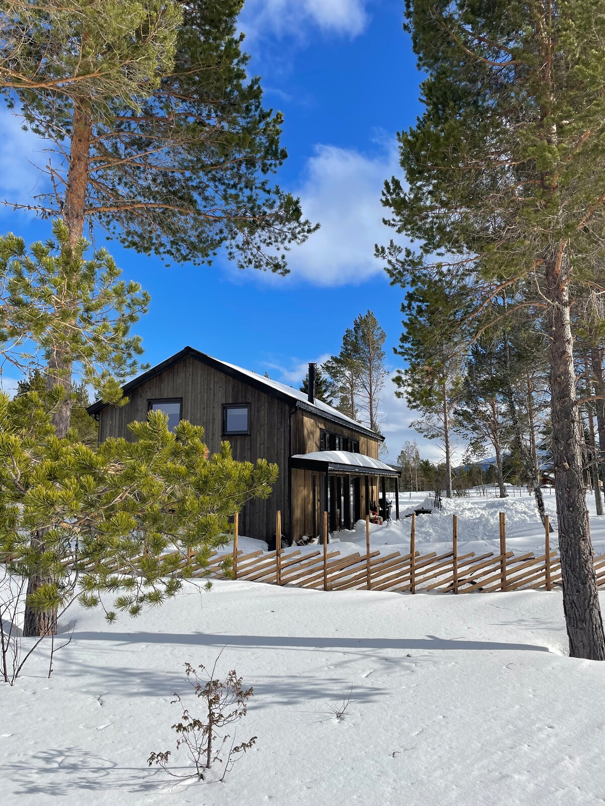 A modern cabin is nestled among snow-covered trees, showcasing a dark exterior contrasted against a bright blue sky. The cabin features a covered porch, providing access to the outdoors while surrounded by a tranquil winter landscape.