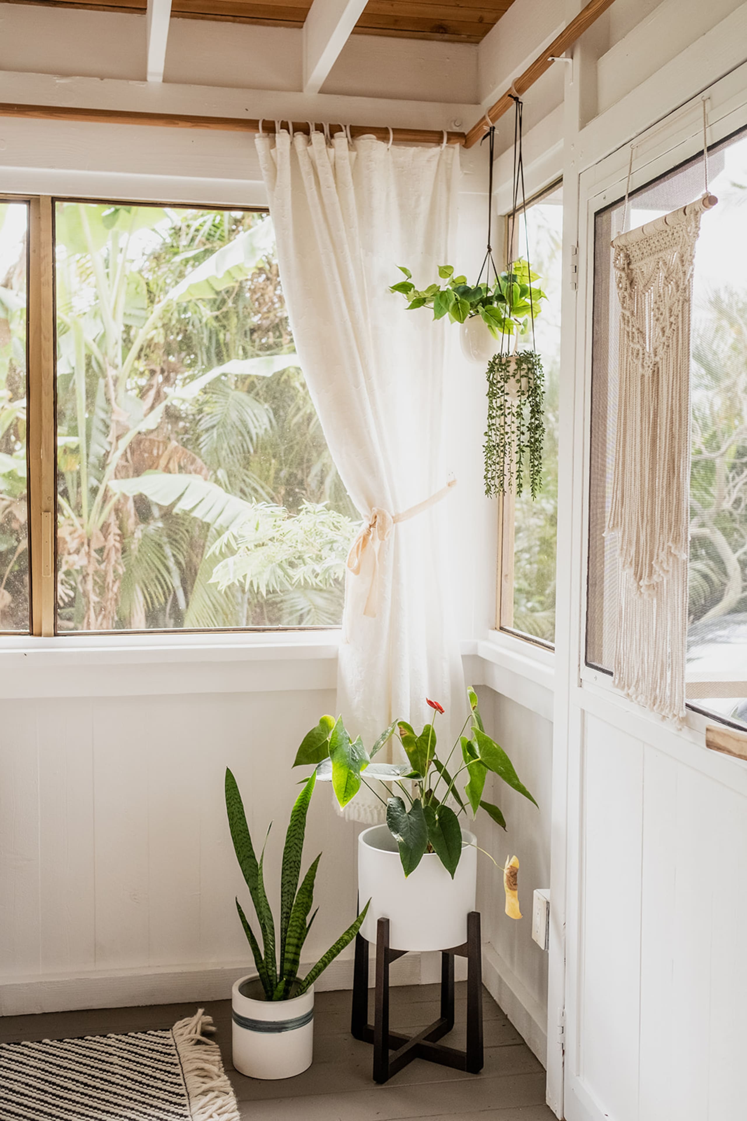 Cozy Studio - Cool elevation with Full Kitchen - Photo 22