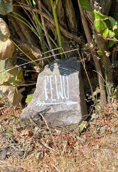 A natural stone, partially covered by dry grass, is positioned near a cluster of plants. The stone features the word 'FEWO' and an arrow painted in white. The surrounding area reflects a sunlit outdoor setting.