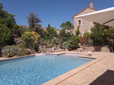 Authentic Provencal Mas du 17e - Large pool
