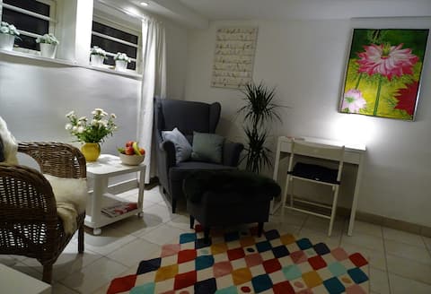 Successful Airbnb property: Basement Bedsitter w/bath/kitchen - no smokers in Gentofte
