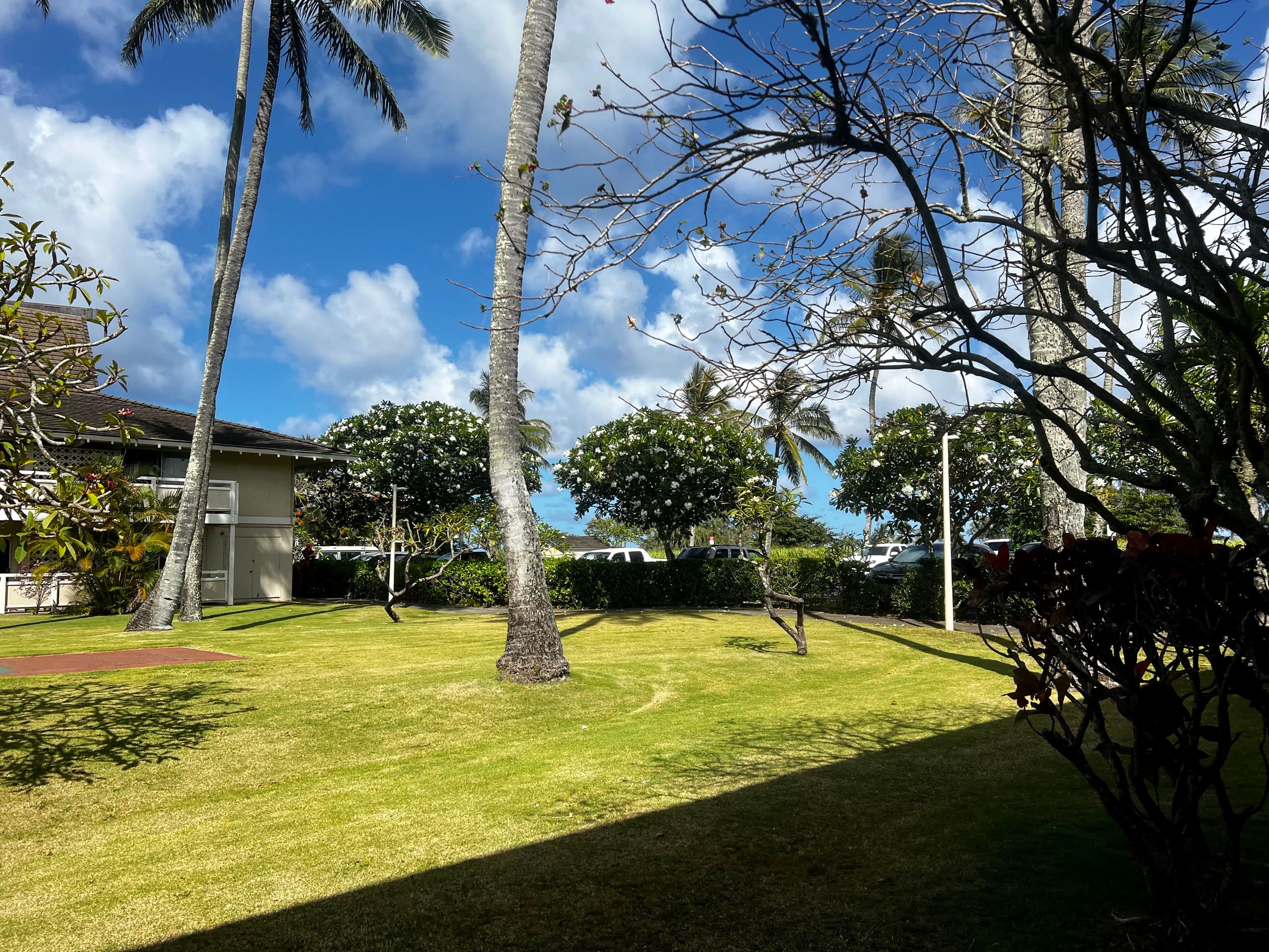 Kauai's Coconut Coast-Home away from Home. D6 - Photo 23