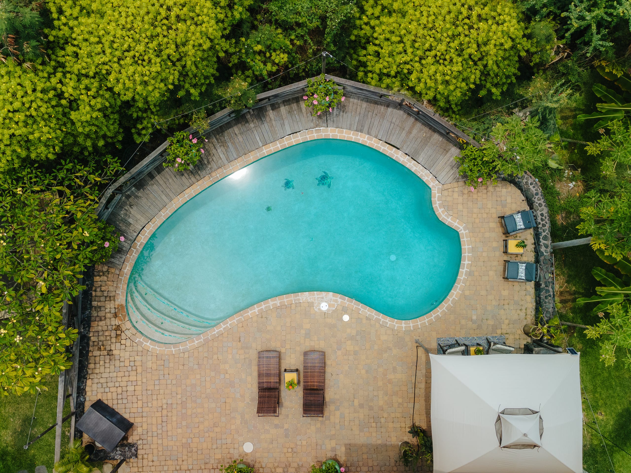 Home in Kailua-Kona · ★4.91 · 1 bedroom · 1 bed · 1 shared bath - Image 28