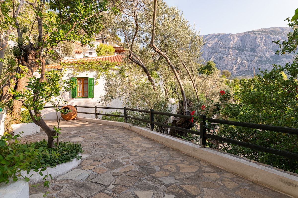 A winding stone pathway is bordered by lush greenery and blooming flowers, leading to a charming white-washed building. The structure features green shutters and a terracotta roof, while olive trees provide shade against a backdrop of majestic mountains.