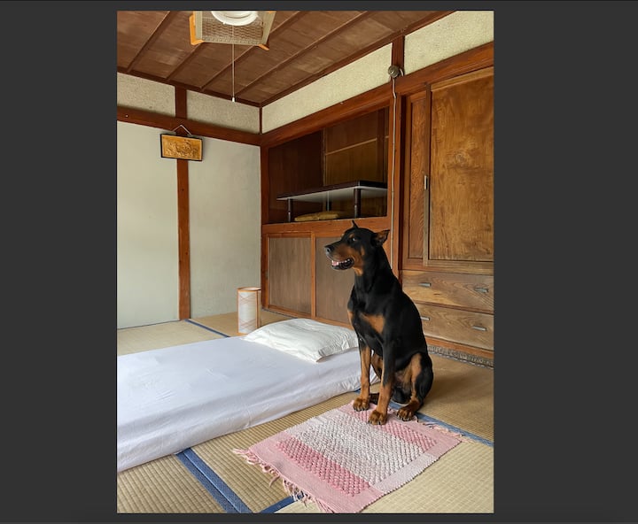 Sugi izba je pre domáce zvieratá a ľudí na prvom poschodí.
Izba Sugi je na spanie. Kaki, obývacia izba je vaša a môžete používať hneď vedľa. Ľutujeme, ale toto je stará fotka. 