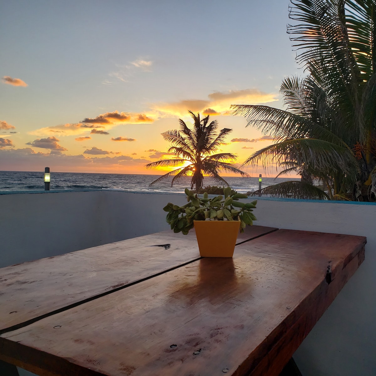 A wooden table is centered on a balcony, adorned with a potted plant. In the background, the ocean stretches toward the horizon, where a vibrant sunset is visible, highlighting warm orange hues against a soft sky. Palm trees frame the scene, adding a tropical feel.
