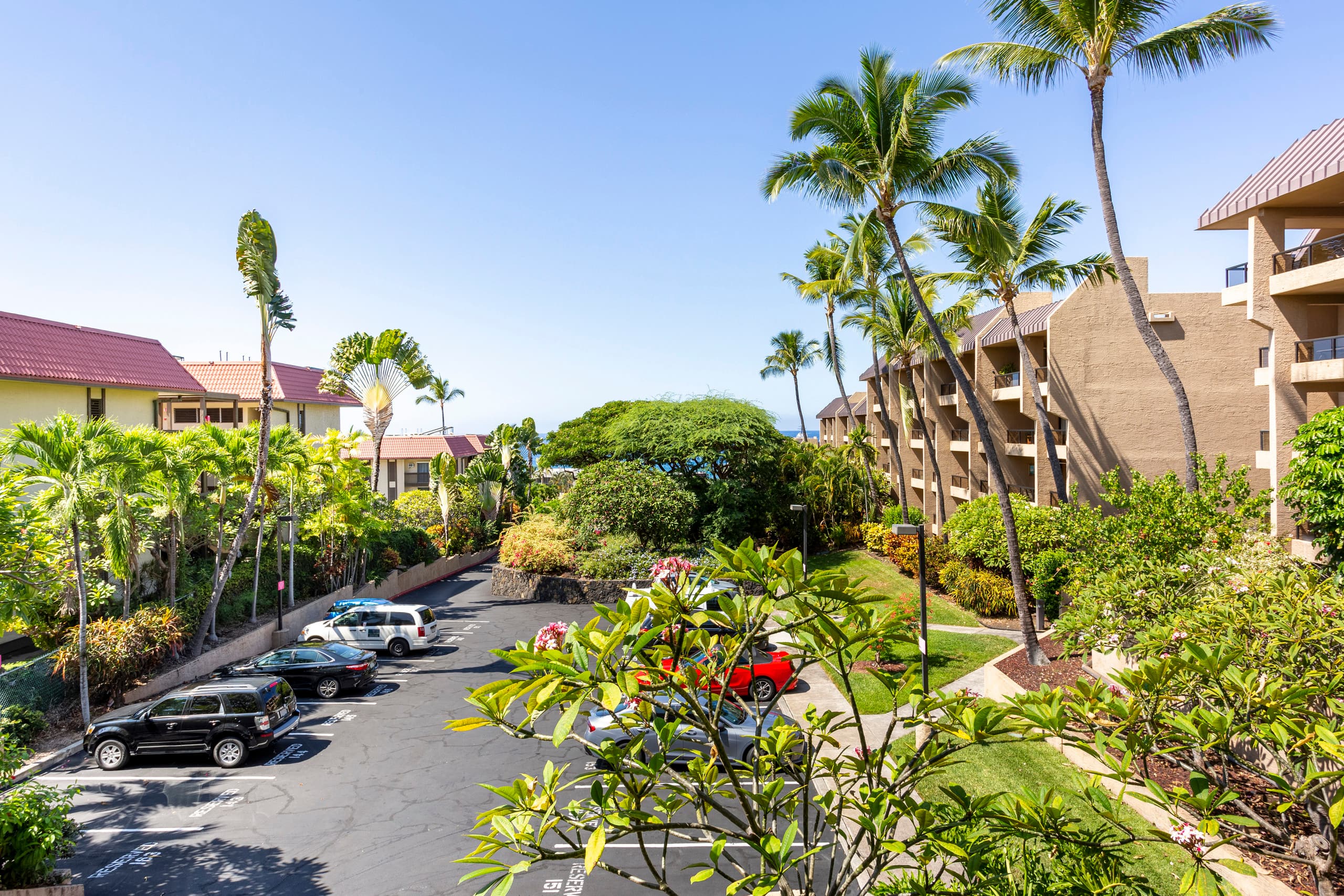 Condo in Kailua · ★4.98 · 1 bedroom · 2 beds · 2 baths - Image 21