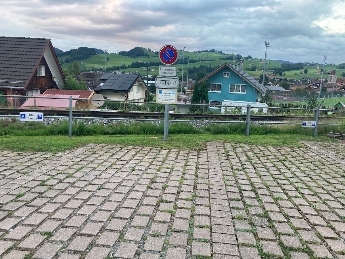 A paved area lined with grid-patterned stones is visible in the foreground. Beyond it, residential houses are situated on a hillside, framed by lush greenery. A sign indicating no parking and train tracks can be seen, with a backdrop of a cloudy sky.