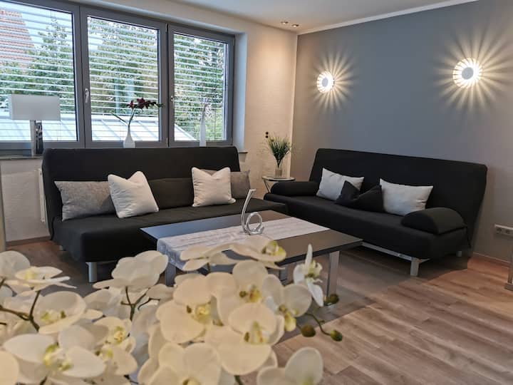 Veliki obiteljski stan XXL s 2 odvojene spavaće sobe, velikim dnevnim boravkom, kuhinjom, kavom/vinskim barom, velikim balkonom do vrta u mirnom stambenom području u Bensheimu za 4-7 osoba.