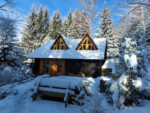 Chalet Bellevue Rogla | Brunarica (Ski Resort)