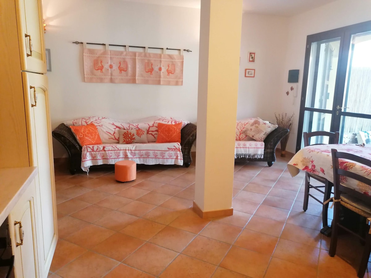 Top performing Airbnb: CASA SOFIA in Maracalagonis