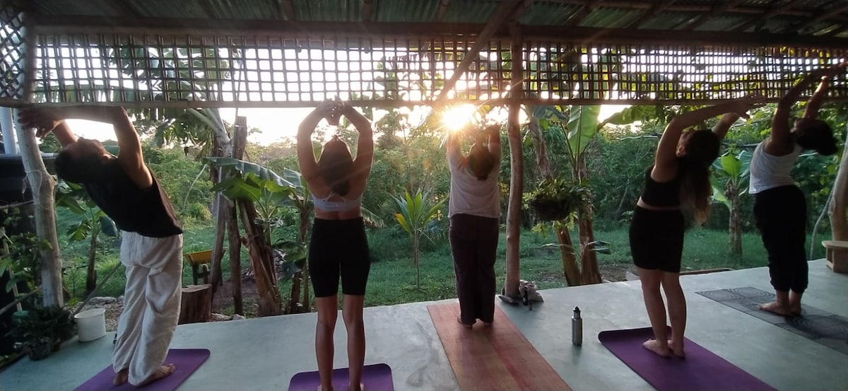 A group of individuals participates in a yoga session on a covered outdoor platform. Natural sunlight filters through a wooden lattice, illuminating the serene faces. Surrounding greenery enhances the tranquil atmosphere, with visible plants and trees that add to the peaceful setting.