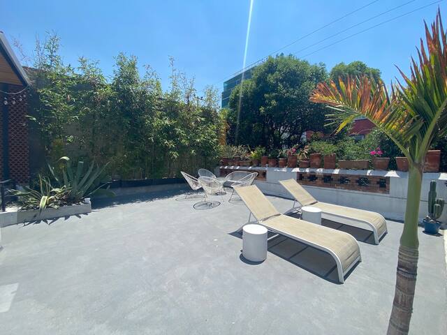Oasis in Roma Norte | Private Rooftop | 6BR house gallery image 4