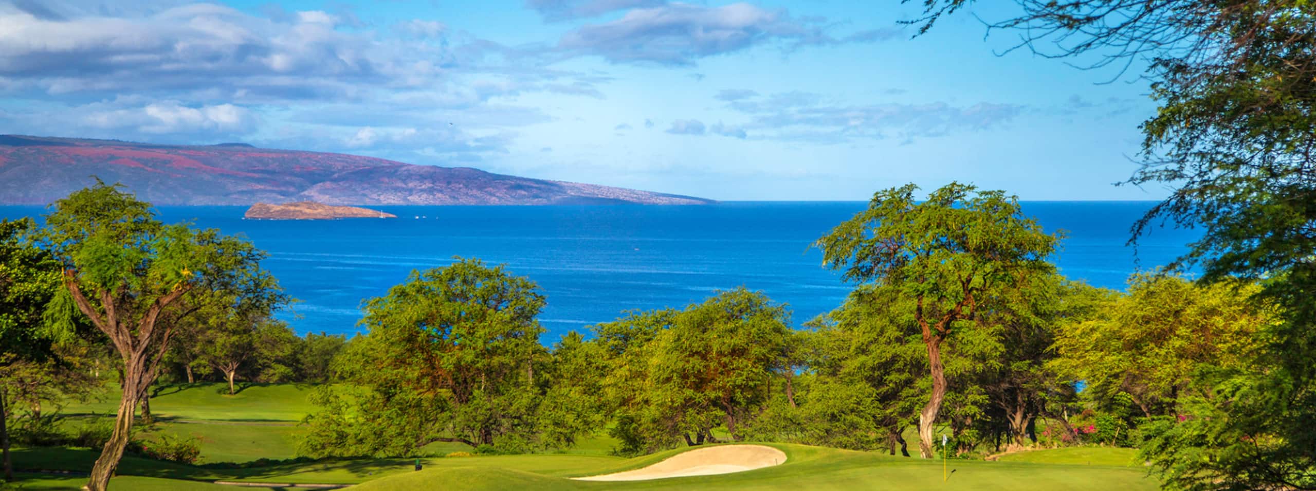 Condo in Kihei · ★4.94 · Studio · 1 bed · 1 bath - Image 23