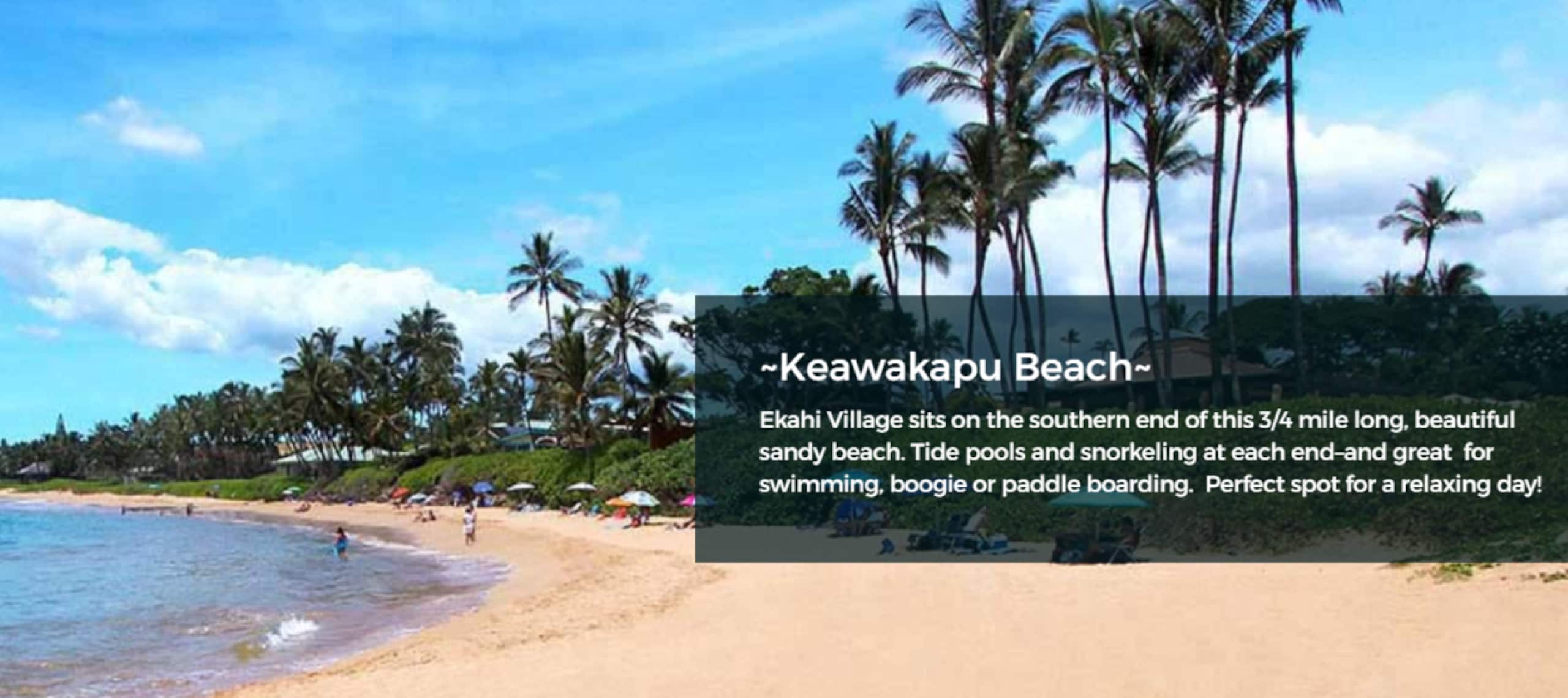 Condo in Kihei · ★4.94 · Studio · 1 bed · 1 bath - Image 11