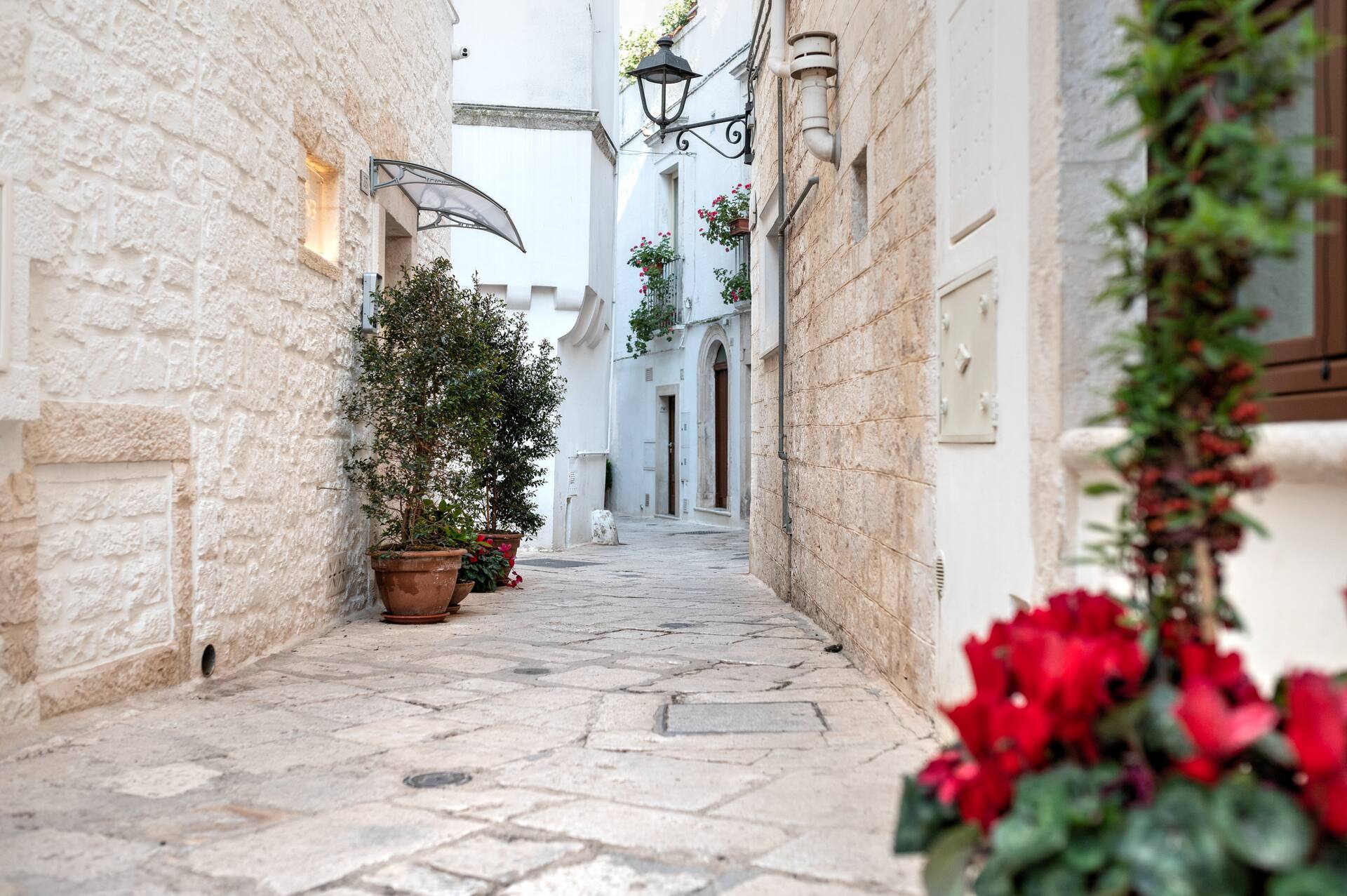 Traditional House ”Bel Panorama” Locorotondo — photo 4