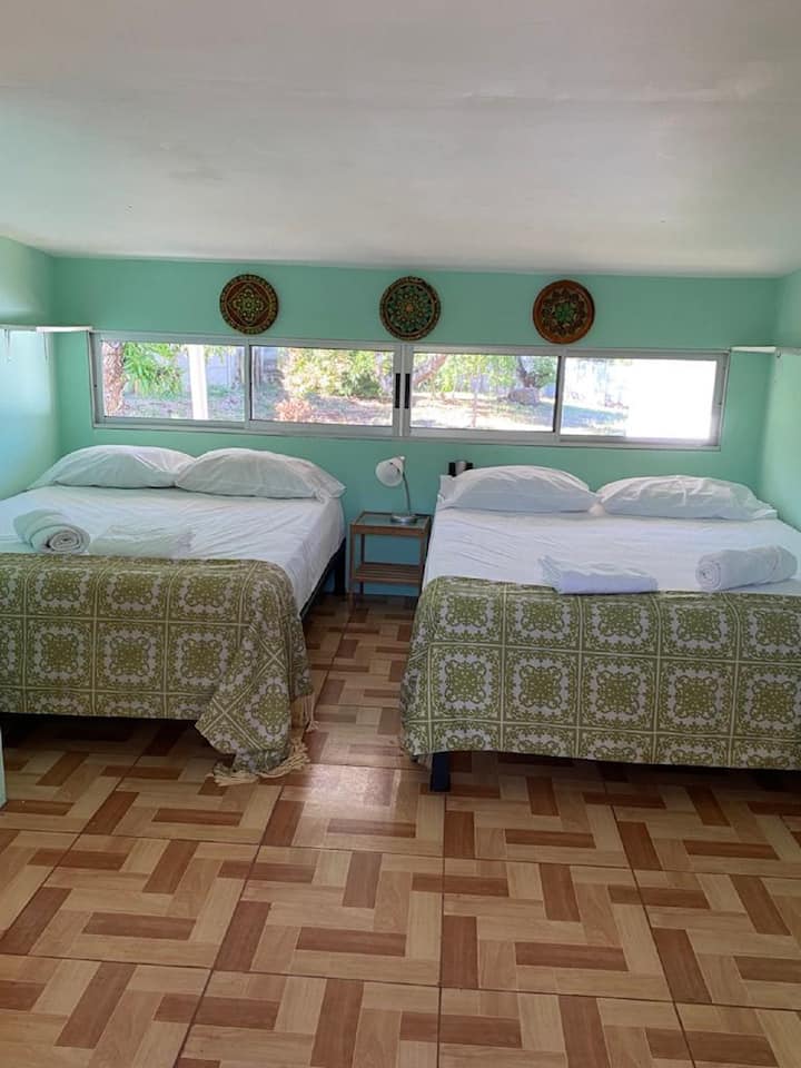 อัลโคบาโอเอซิส