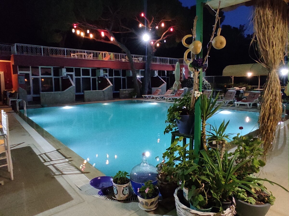 A tranquil pool area is illuminated by multicolored lights hanging overhead. Lush plants and decorative pots surround the pool's edge, enhancing the serene setting. The building features large windows that reflect the soft glow from the surrounding lights.