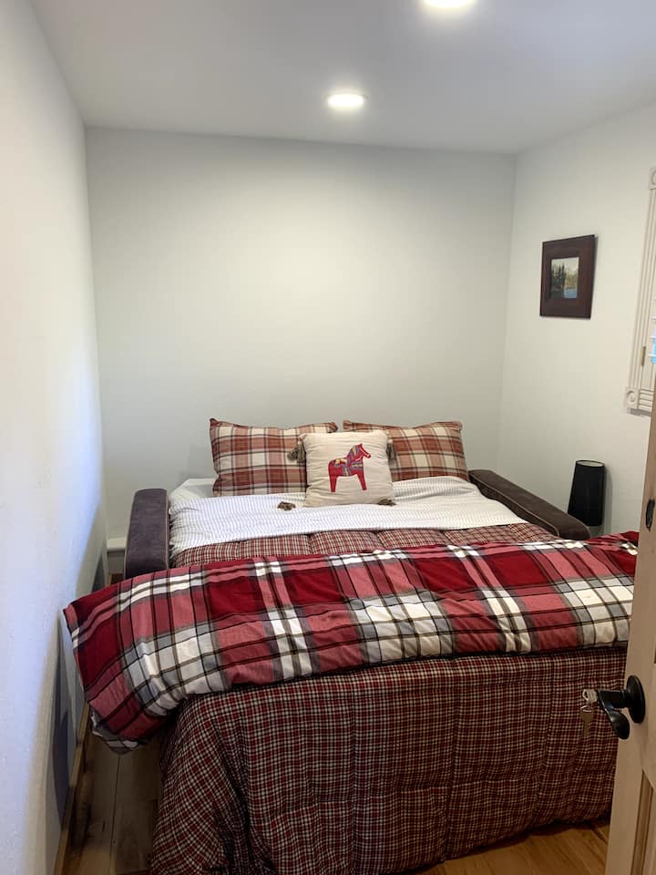 חדר שינה תחתון עם ספה נפתחת.  טלוויזיה בפינה.