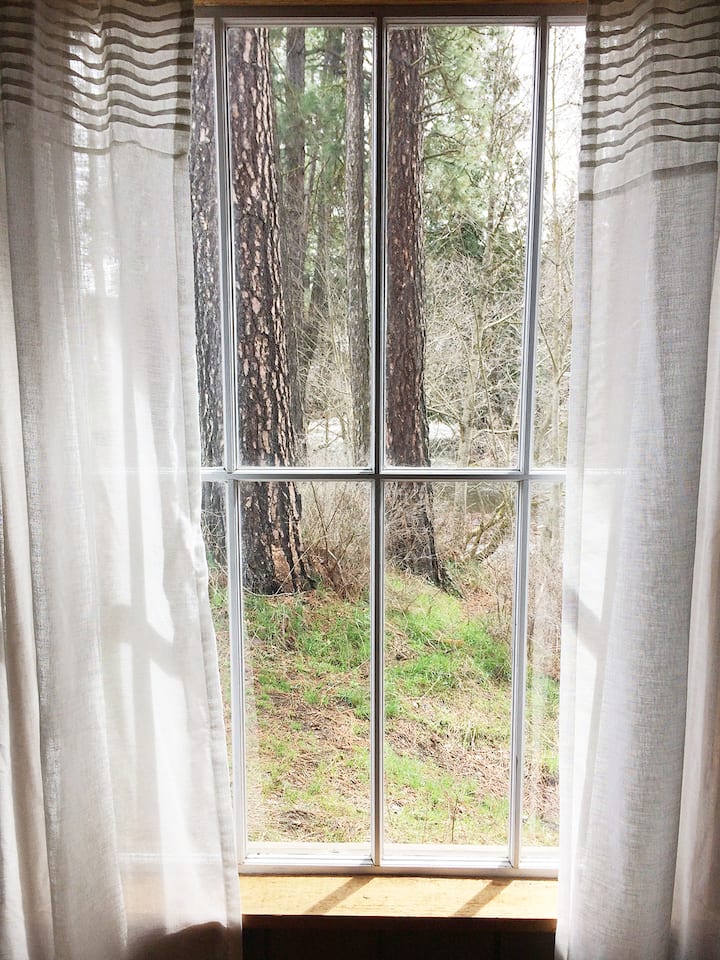 Top 10 Airbnbs In Trout Lake, Washington Updated 2024 Trip101