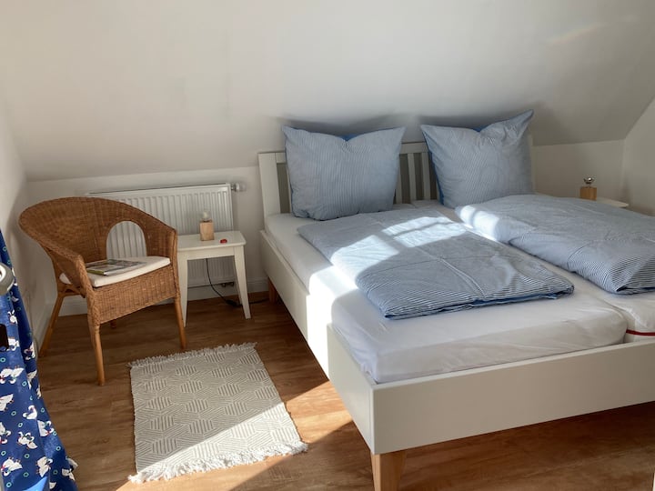 Quarto 1