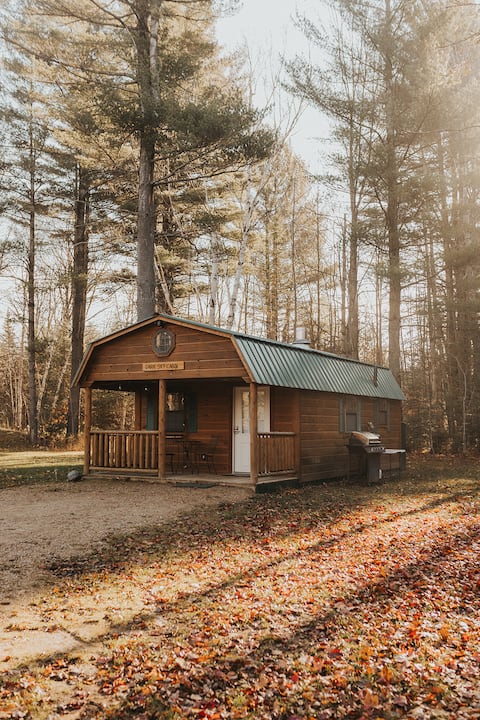 Dark Sky Cabin