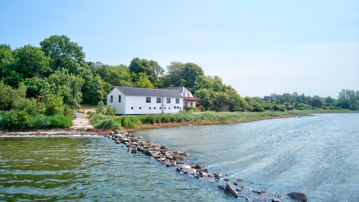 A serene water view is captured, featuring a spacious white building nestled amid lush greenery. The landscape is bordered by a gentle shoreline and reflective waters, enhancing the natural surroundings. A rocky pathway extends into the water, contributing to the tranquil atmosphere.