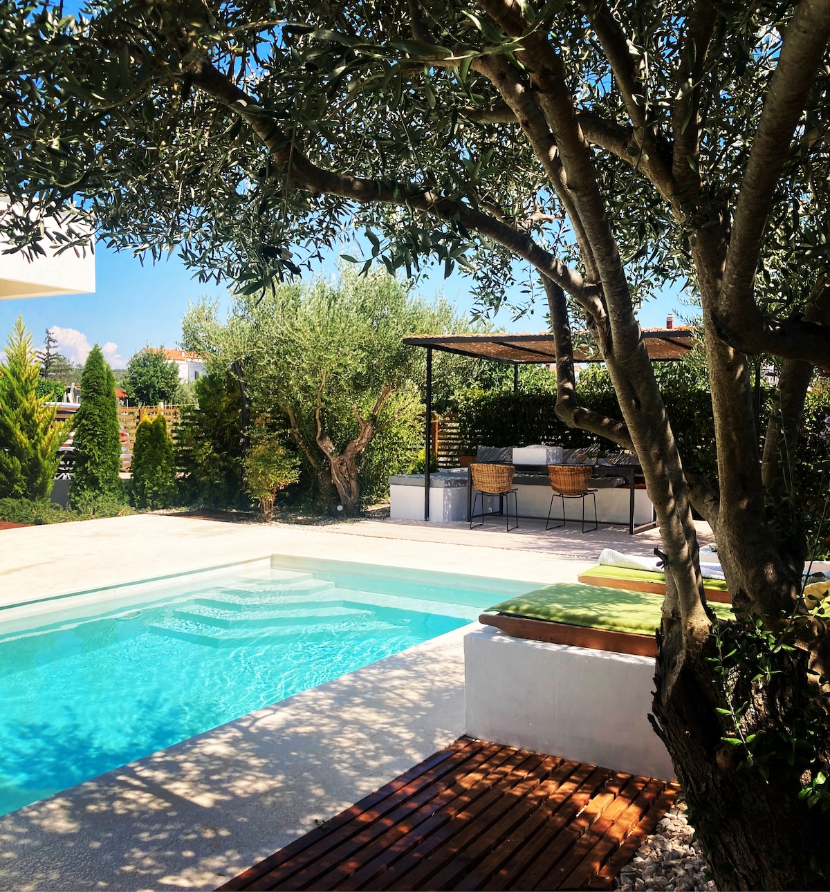 A serene pool area is framed by an olive tree, with clear water glistening under the sun. Nearby seating is provided under a shaded pergola, enhancing the tranquil outdoor space surrounded by lush greenery.