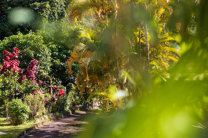 Entire home with 1 bedrooms in guadeloupe - L'émeraude