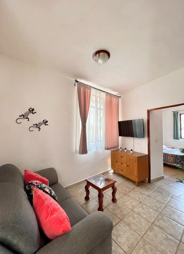 Charming Apartment. - Guanajuato