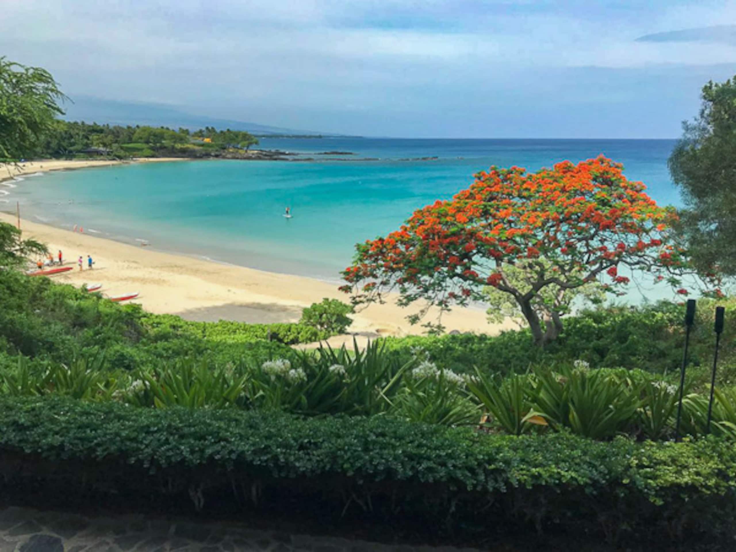 Home in Waimea · ★4.98 · 4 bedrooms · 6 beds · 3.5 private baths - Image 22