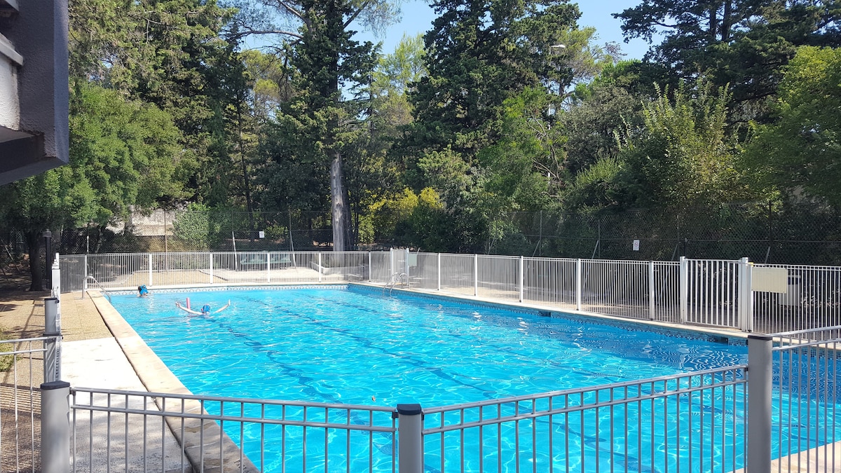A large swimming pool is surrounded by a secure fence, with clear blue water reflecting sunlight. Lush greenery and tall trees provide a serene backdrop, creating a calm outdoor setting for relaxation and leisure.